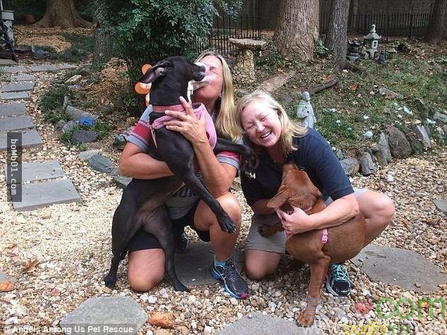 gj1309060494733557702842