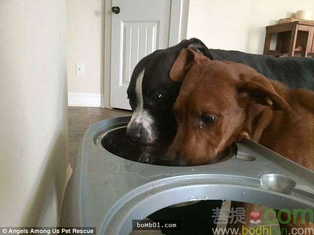 gj1309060494735117713200