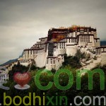 為何西藏的廟宇宮殿大多建在山崖之上？