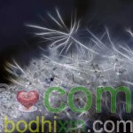 生命是一個沙漏，切莫讓幸福隨它一起流逝
